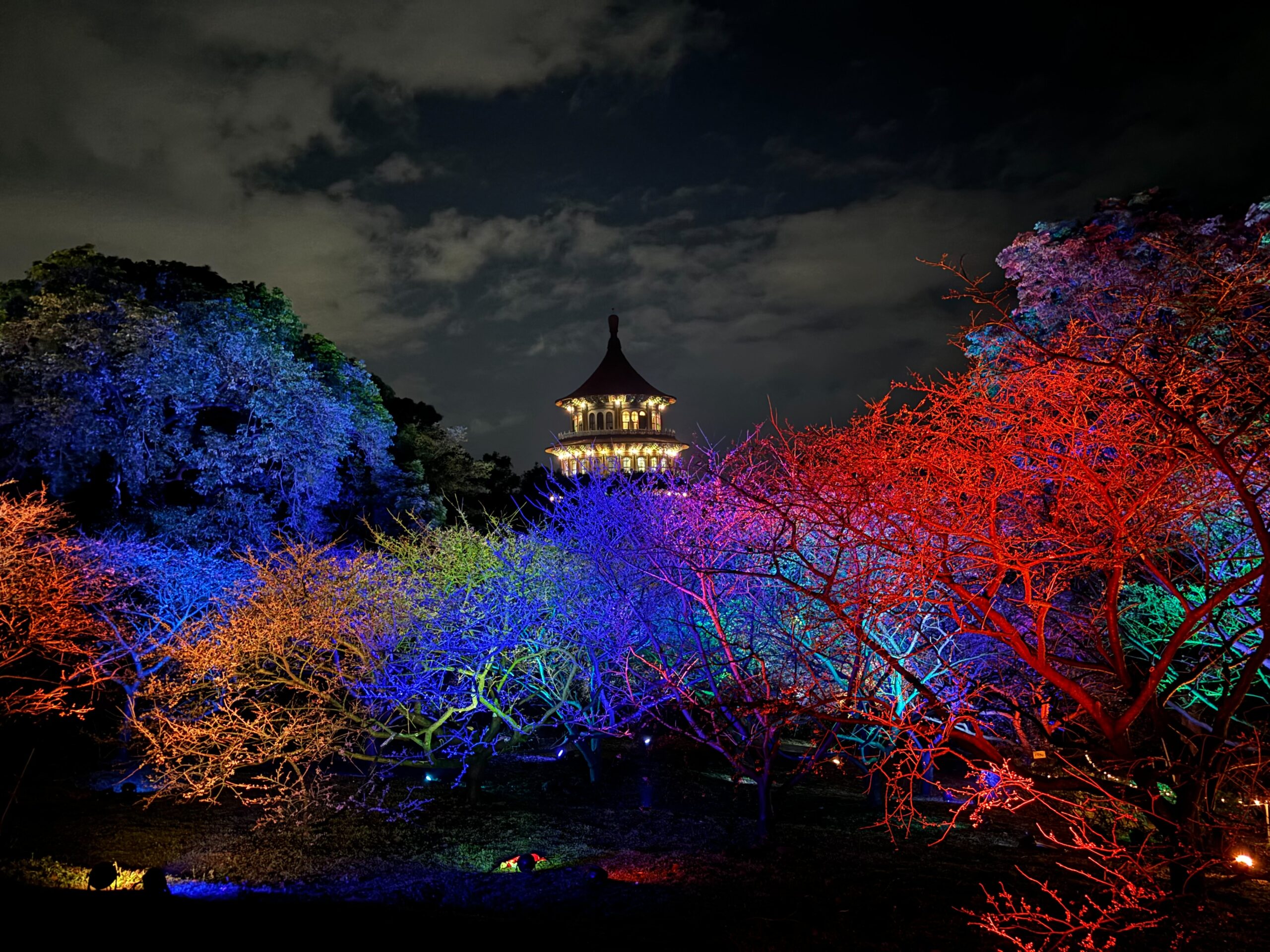 淡水天元宮夜櫻浪漫登場 走進幾米《閉上眼睛一下下》打造童趣夢幻雙重奏
