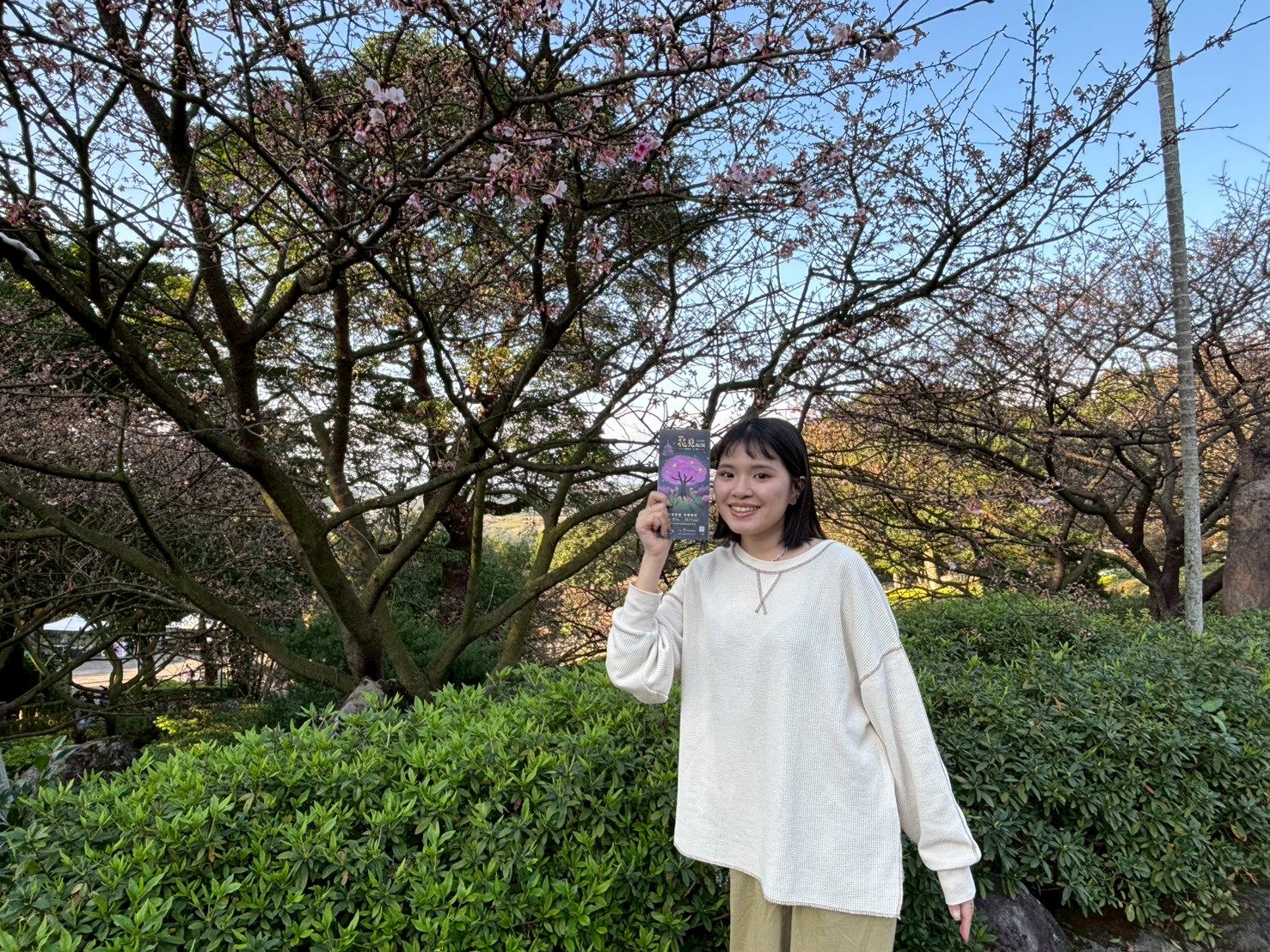 淡水天元宮夜櫻浪漫登場 走進幾米《閉上眼睛一下下》打造童趣夢幻雙重奏