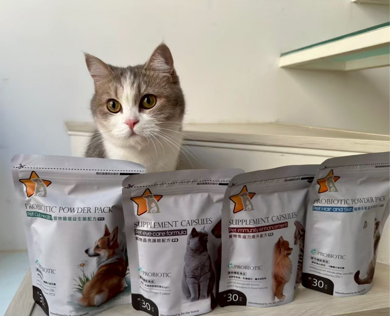 寵星以愛心為初心!周年慶感恩登場 買二送一回饋飼主 寵星以愛心為初心!周年慶感恩登場 買二送一回饋飼主