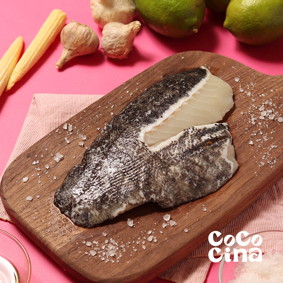 台灣水產養殖新革命！Cococina 導入獨家「LNG 鑽石水」系統，打造歐盟級鮮美海味