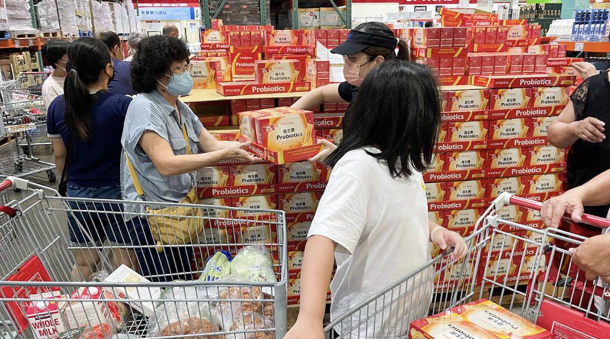 威德益生菌暢銷連鎖賣場！台灣人瘋買原因一次解析