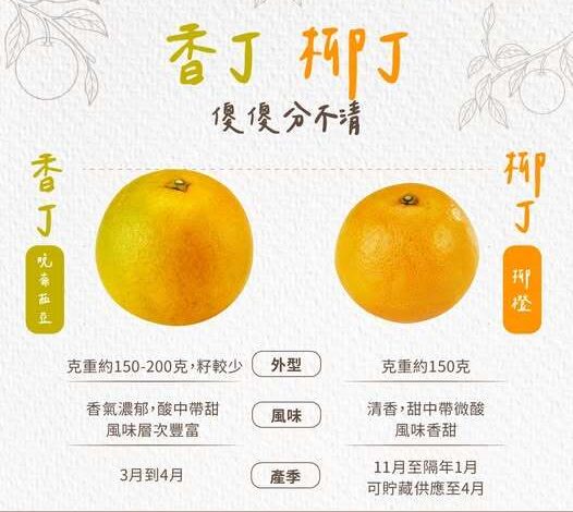 柳丁、香丁分不清？一張圖教你變專家：這款「香氣爆棚」正盛產 - 火報