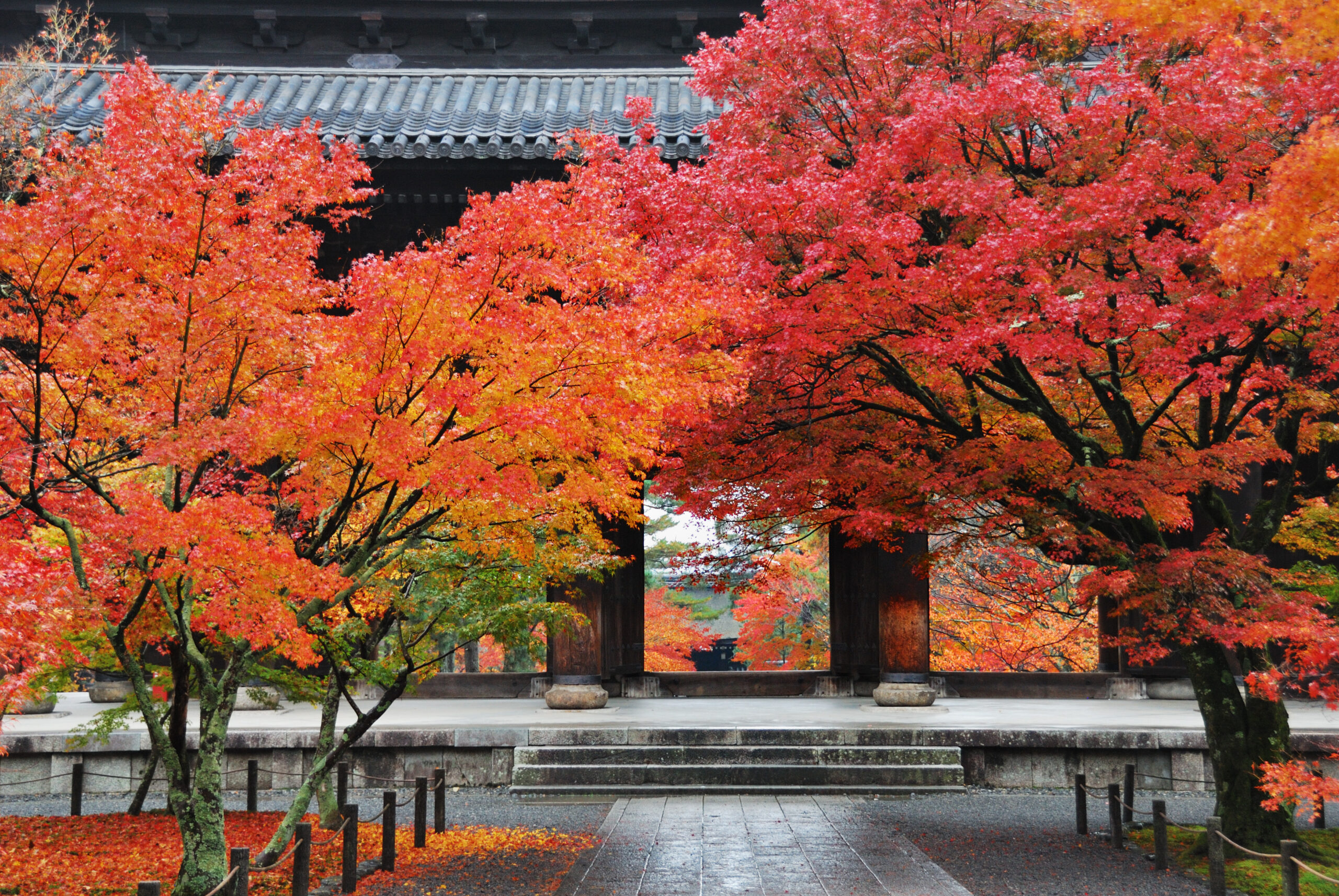 多住一晚更好玩！頂奢住宿X慢旅品味　重塑日本高端旅遊新樣貌 - 台北郵報 | The Taipei Post