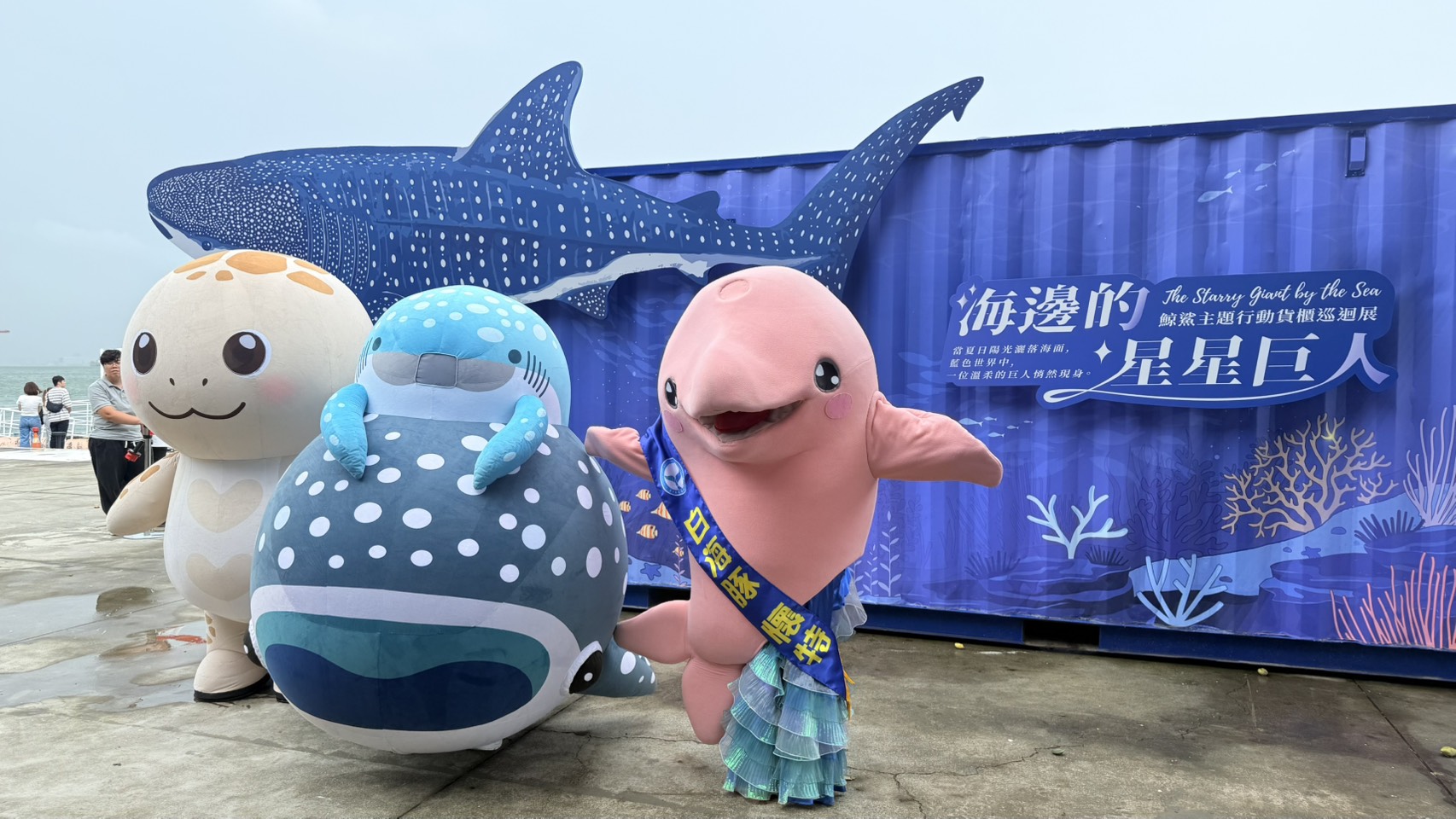 世界鯨鯊日「星星巨人」游進高雄 海保署行動貨櫃展帶民眾認識鯨鯊、學會友善守護 - 台北郵報 | The Taipei Post